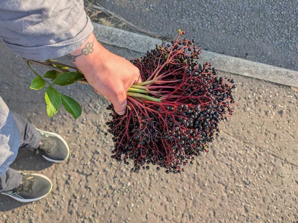 Harvest season and new&nbsp;events!